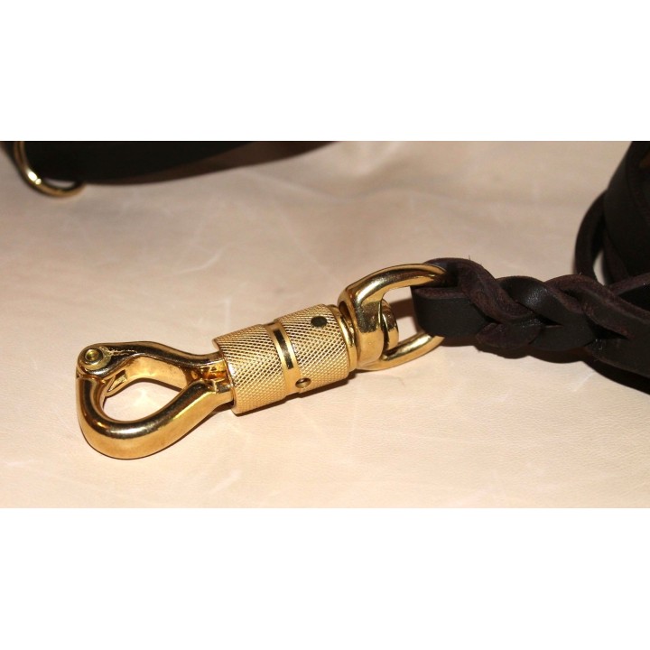 leash for molossian dogs