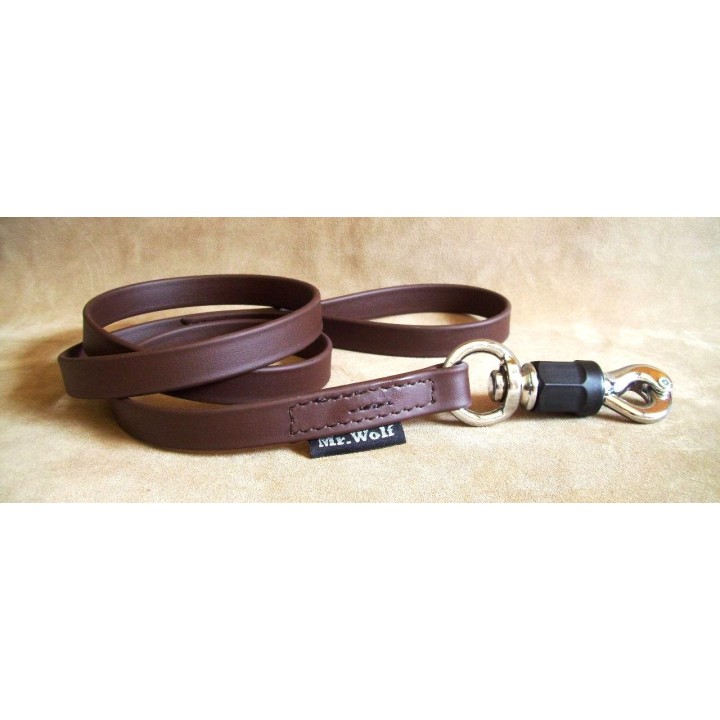 biothane leash for molossian dogs