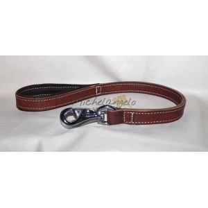 Guinzaglio Snake River