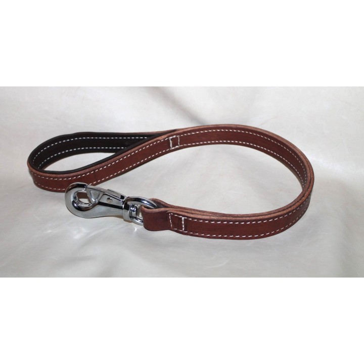 leash for molossian dogs