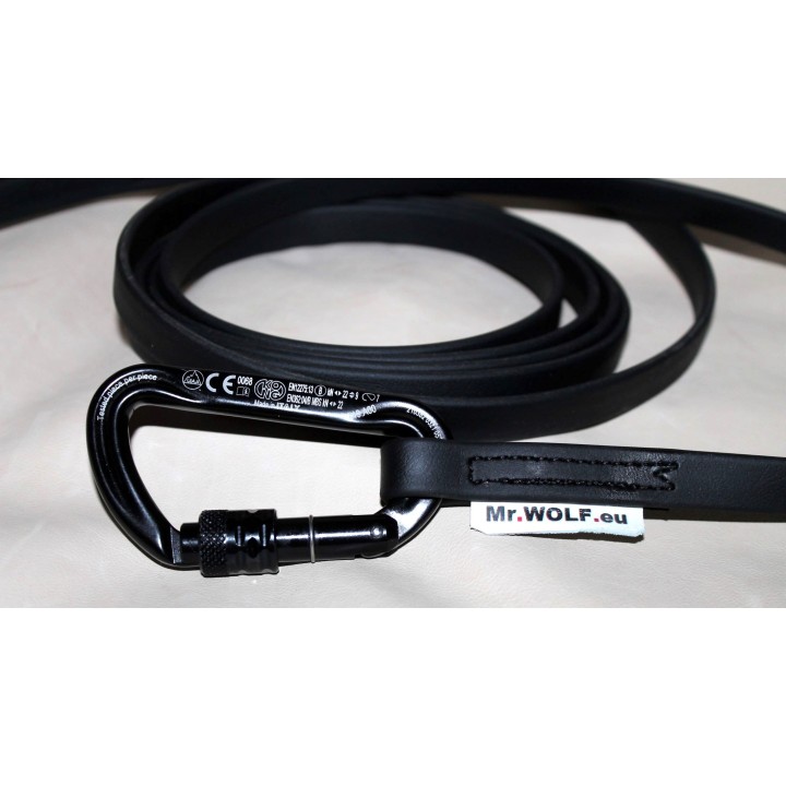 biothane leash for molossian dogs