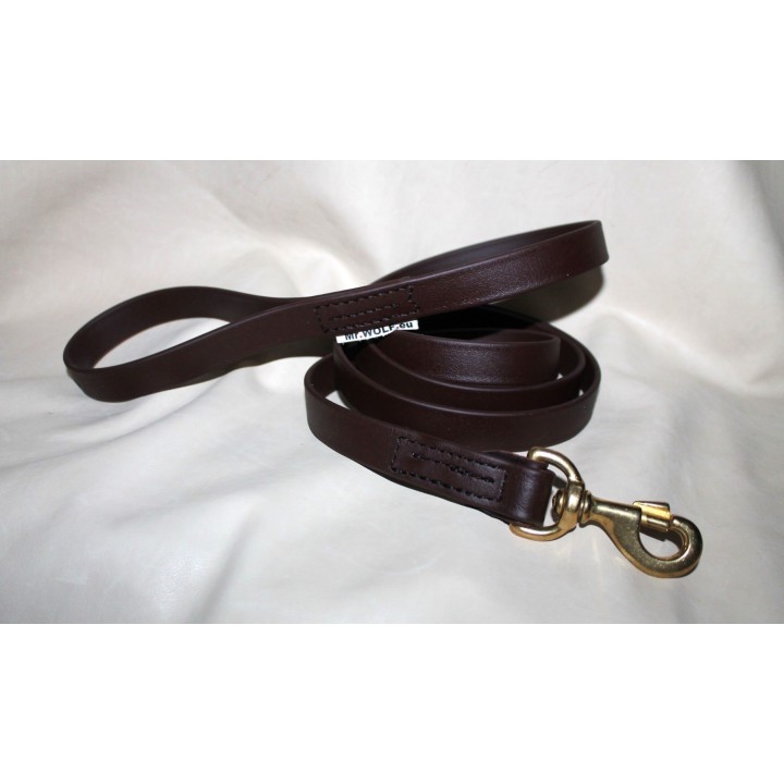 leash for catch dogs