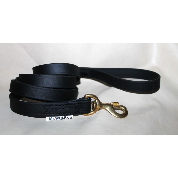 leash for catch dogs