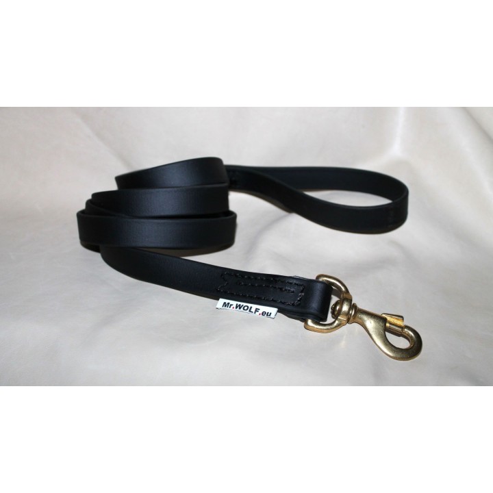 leash for catch dogs
