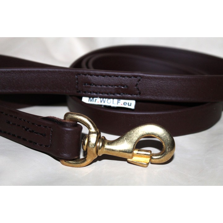 leash for catch dogs