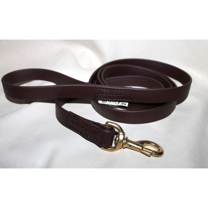 leash for catch dogs