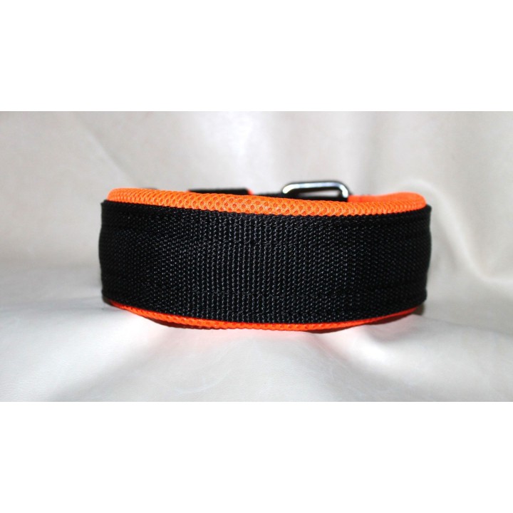 collar for catching dogs