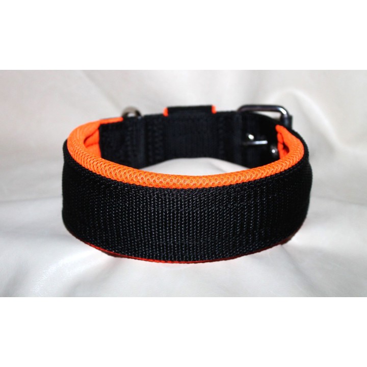 collar for catching dogs