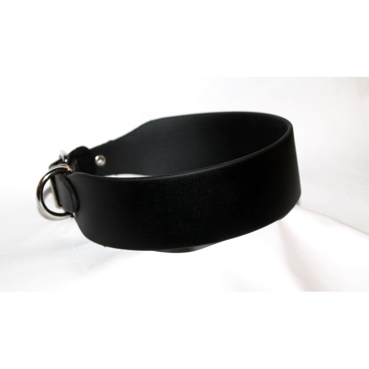 biothane collar for large dogs