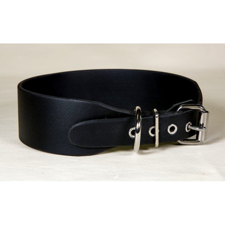 biothane collar for large dogs