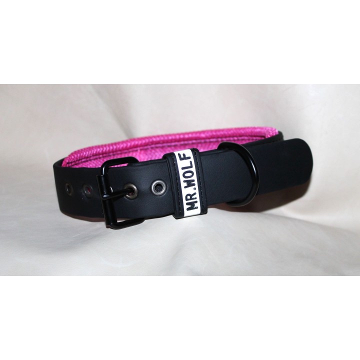 collar for catch dogs