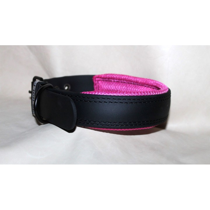 collar for catch dogs