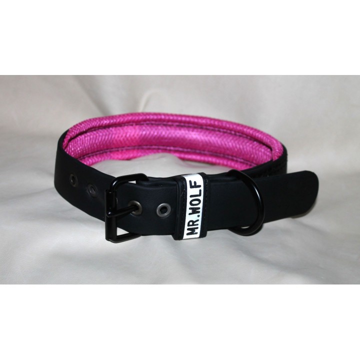 collar for catch dogs