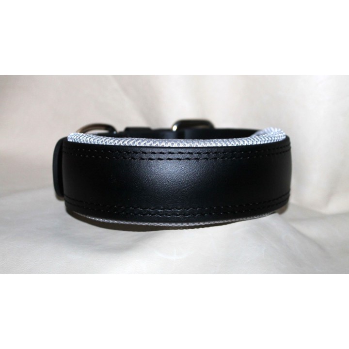 collar for catch dogs