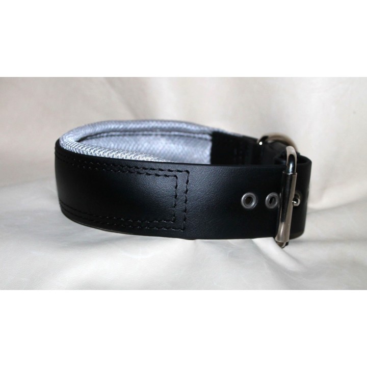 collar for catch dogs