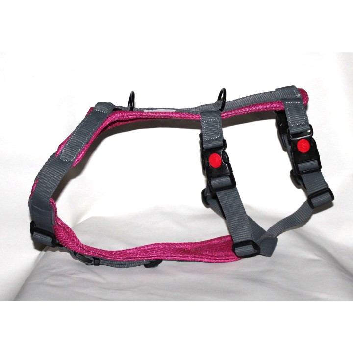 H harness for Greyhound