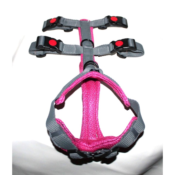 H harness for Greyhound