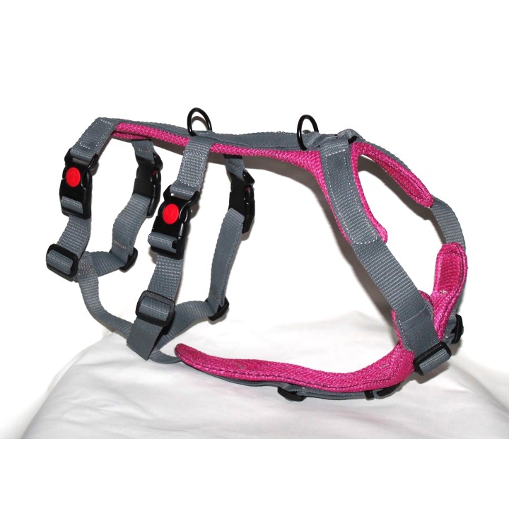 H harness for Greyhound