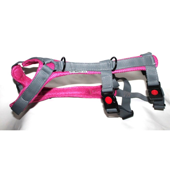 H harness for Greyhound