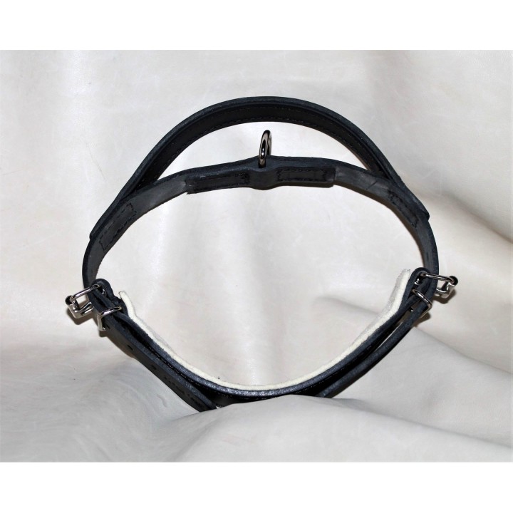 leather collar for dog
