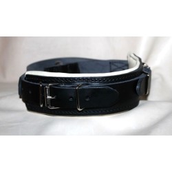 leather collar for dog
