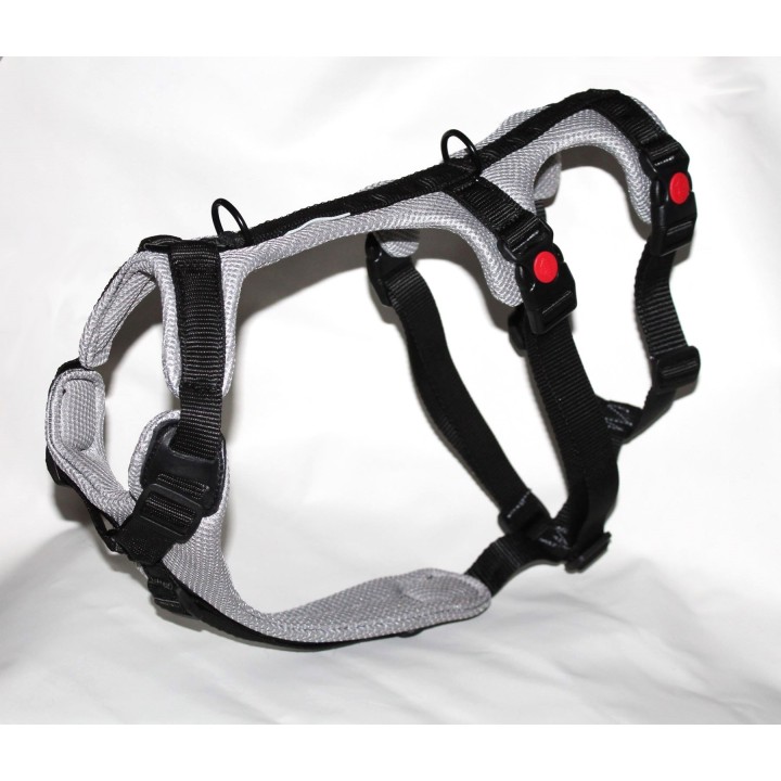 H harness for Greyhound