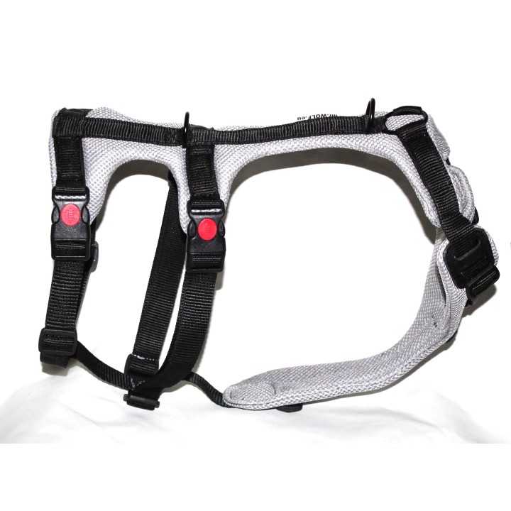 H harness for Greyhound