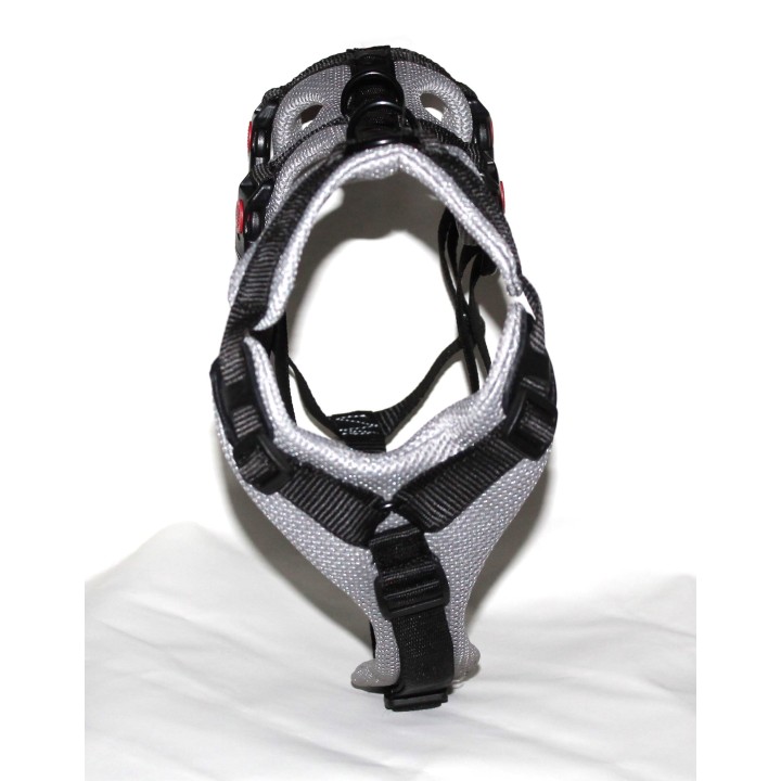 H harness for Greyhound