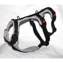 Isabo H harness for Galgo...