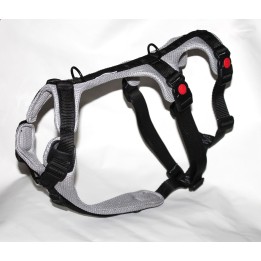 pettorina a doppia H per levriero