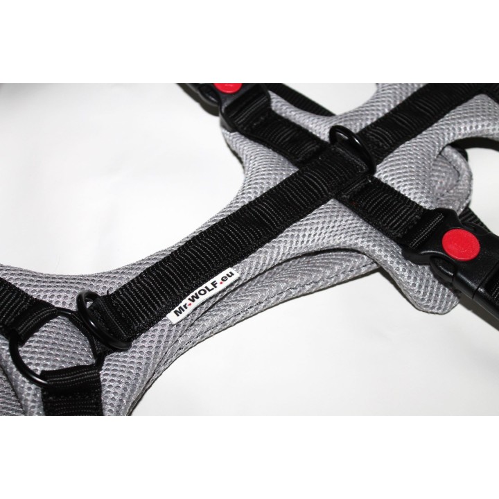 H harness for Greyhound