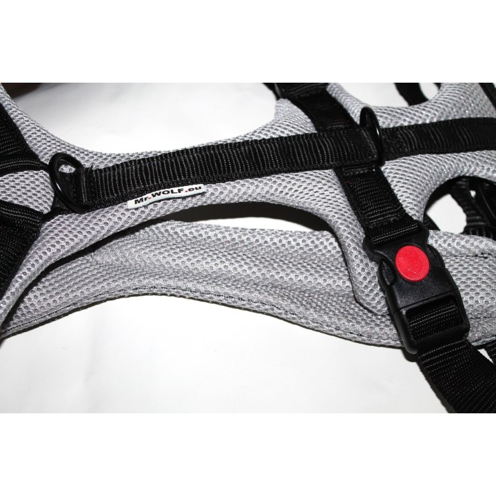 H harness for Greyhound