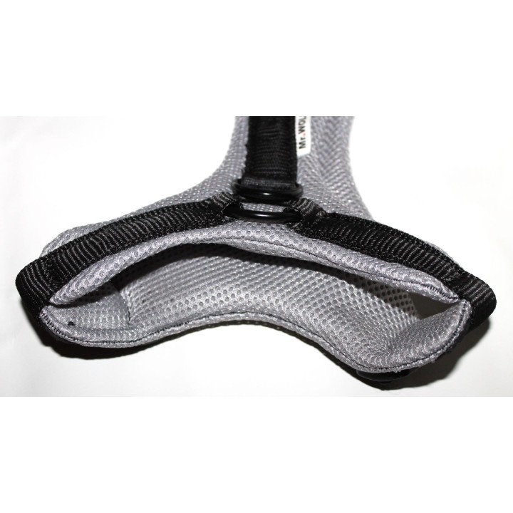 H harness for Greyhound