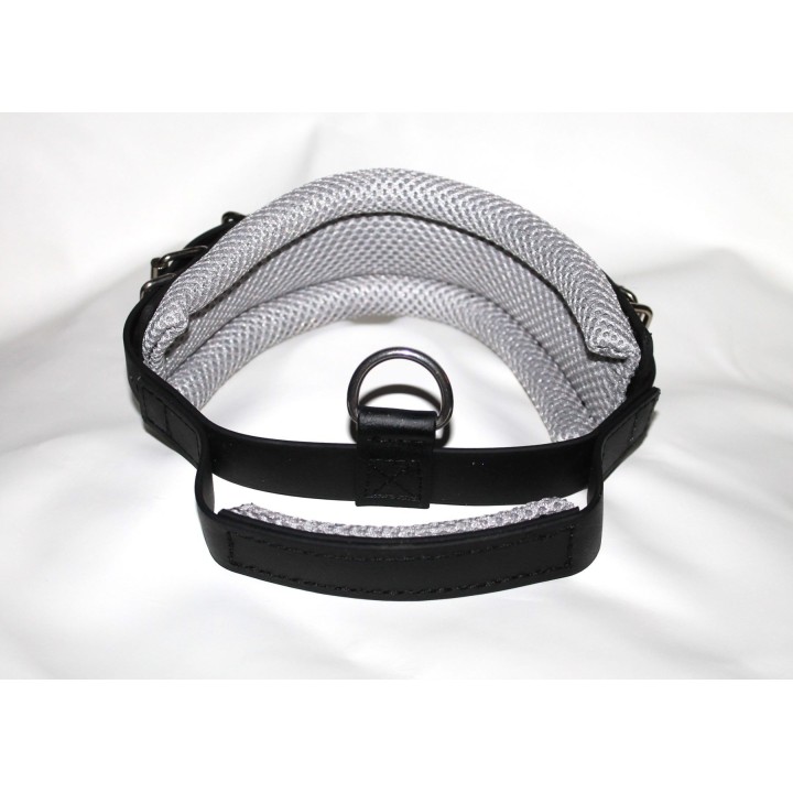 leather collar for dog