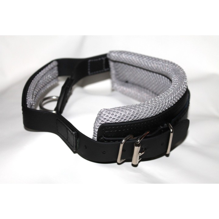leather collar for dog