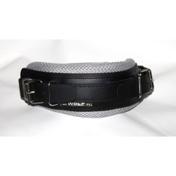 biothane collar for dog