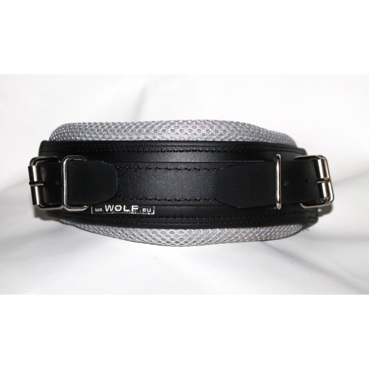 biothane collar for dog