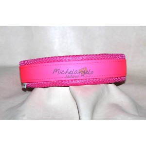 Collare Joele in Biothane