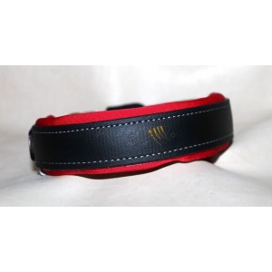 Collare Avalon in Biothane