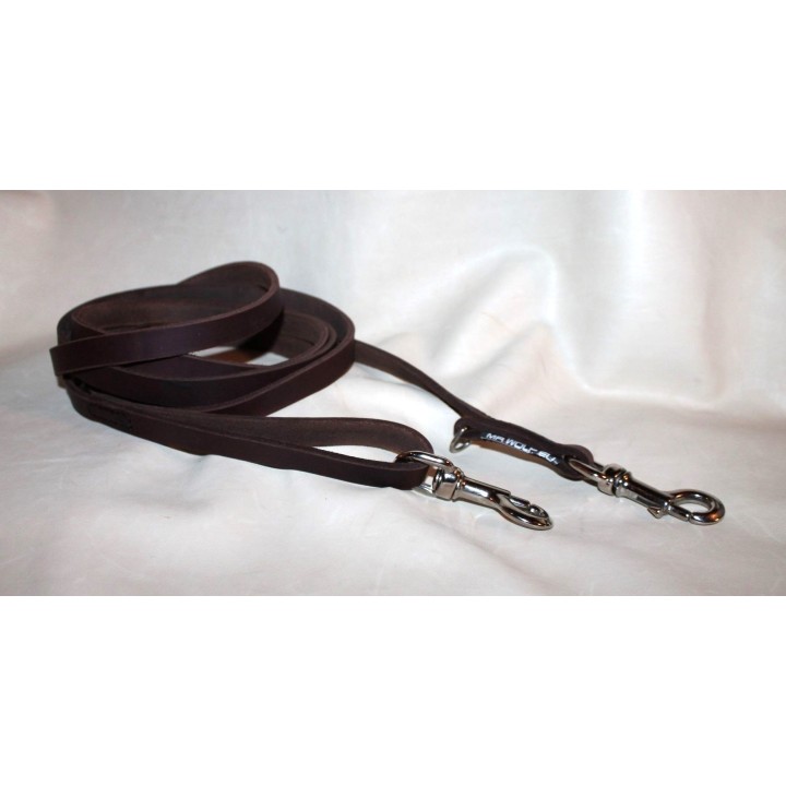 leather leash