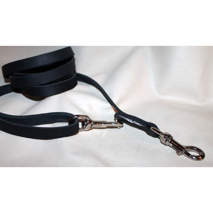 leather leash