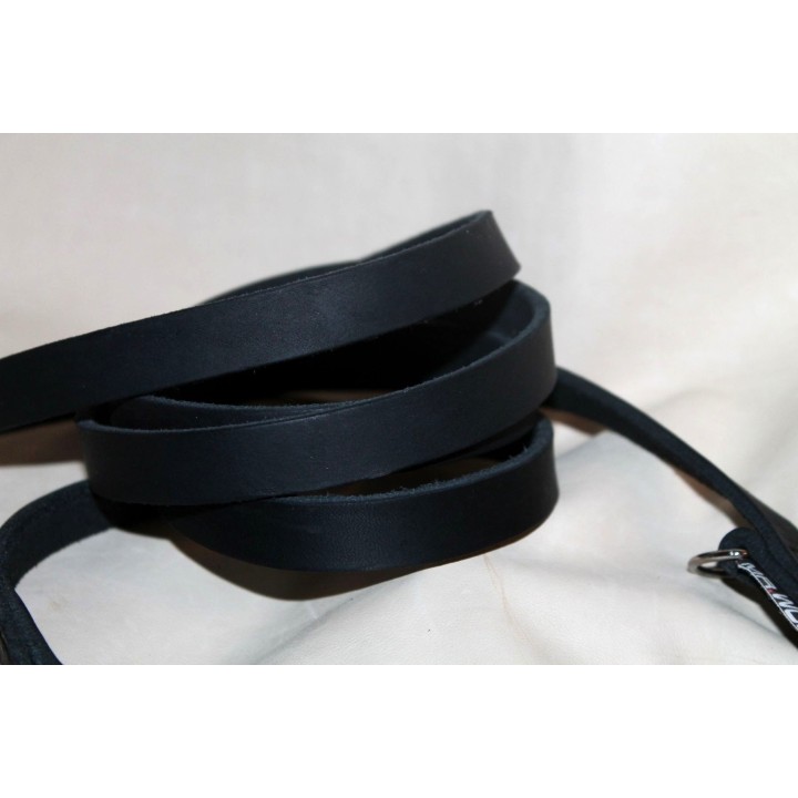 leather leash