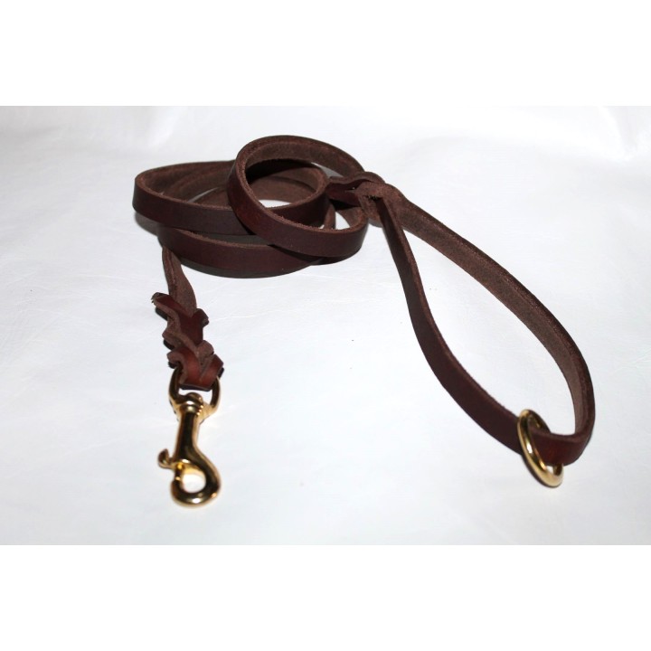 leather leash for dog