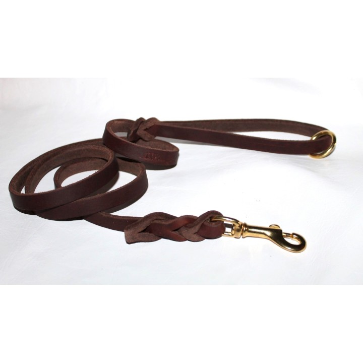 leather leash for dog