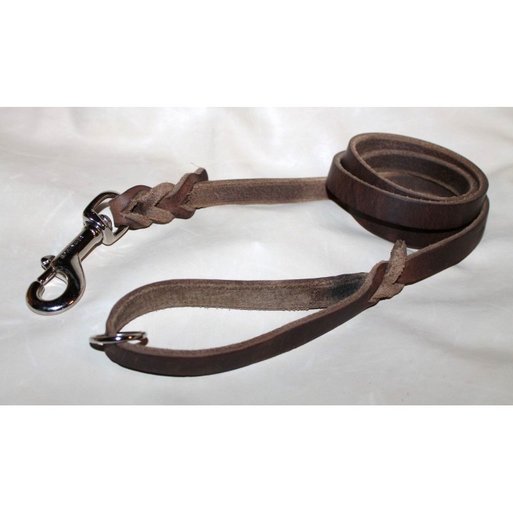 leather leash for dog