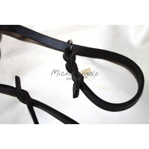 Guinzaglio a scorrimento