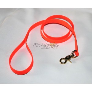 Guinzaglio in Biothane