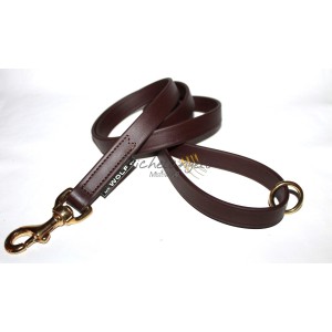 Guinzaglio Apolda in Biothane