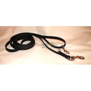 Guinzaglio lungo con 2...