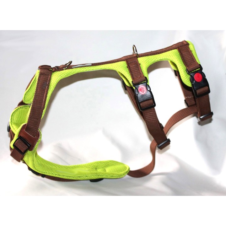 H harness for Greyhound